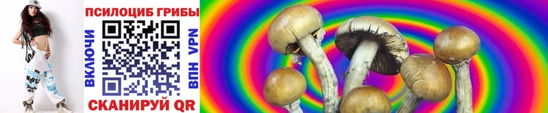 Псилоцибиновые грибы GOLDEN TEACHER  Курчалой 